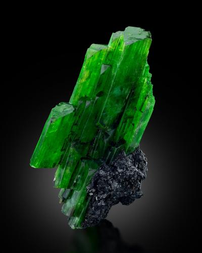 Tremolite (variety Cr-bearing tremolite)<br />Merelani, Montes Lelatema, Distrito Simanjiro, Región Manyara, Tanzania<br />3 x 3 x 5.5 cm / main crystal: 2.9 cm<br /> (Author: MIM Museum)