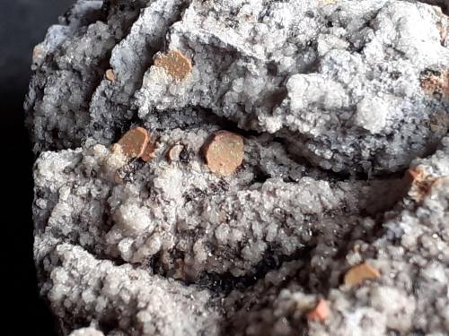 Cordierite<br />Funtanafigu Quarry, Marrubiu, Arci Mountain, Oristano Province, Sardinia/Sardegna, Italy<br />6,5 x 6 cm<br /> (Author: Volkmar Stingl)