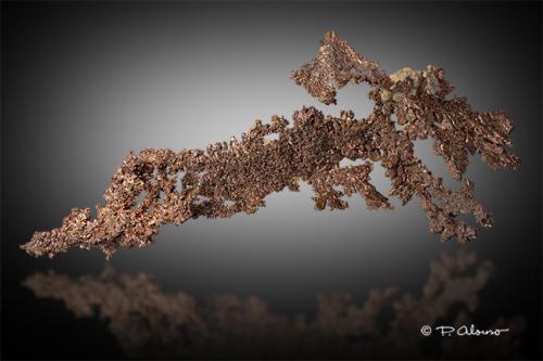 Cobre<br />Mass Consolidated Mine, Mass City, Ontonagon County, Michigan, USA<br />22cm x 10cm x 1cm<br /> (Autor: Pere Alonso)