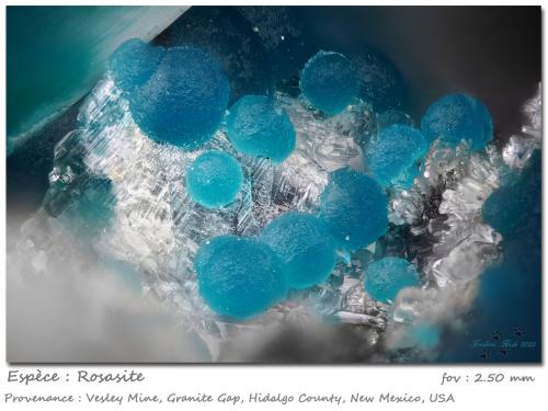 Rosasite<br />Mina Vesley, Granite Gap, Distrito San Simon, Condado Hidalgo, New Mexico, USA<br />fov 2.50 mm<br /> (Author: ploum)