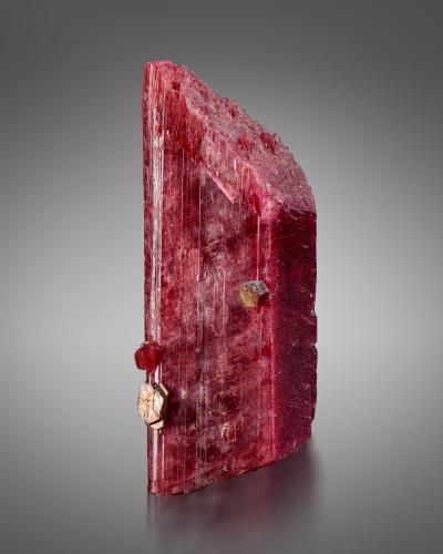Rhodonite<br />Broken Hill Proprietary Mine, Broken Hill, Yancowinna County, New South Wales, Australia<br />3.5 x 2.5 x 9.5 cm / main crystal: 9.5 cm<br /> (Author: MIM Museum)