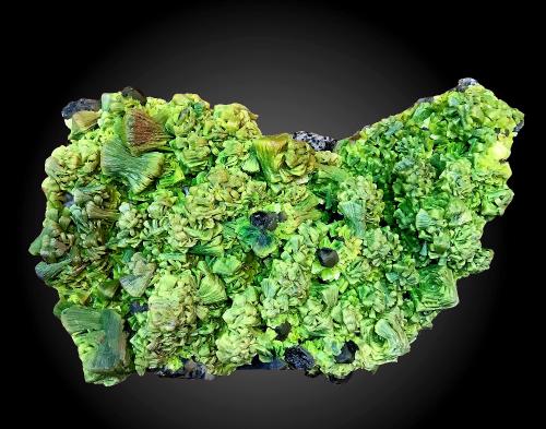 Autunite<br />Depósito Nanjingqiao, Pingjian, Prefectura Yueyang, Provincia Hunan, China<br />22 x 14 x 8 cm / main crystal: 3.0 cm.<br /> (Author: MIM Museum)