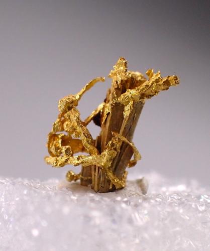 Gold<br />Tiglit, Assa-Zag Province, Guelmim-Oued Noun Region, Morocco<br />6.5 mm x 7 mm<br /> (Author: Don Lum)