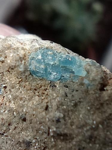 Hauyna<br />Punta Camello, Arucas , Gran Canaria, Provincia de Las Palmas, Canarias, España<br />6 mm<br /> (Autor: AntaresGC)