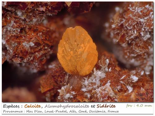 Calcite, Alumohydrocalcite, Siderite<br />Mas Dieu, Mercoirol, Alès, Gard, Occitanie, France<br />fov 4.0 mm<br /> (Author: ploum)