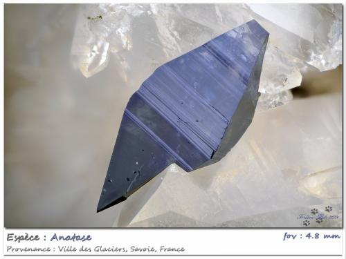 Anatase<br />Ville des Glaciers, Saboya, Auvergne-Rhône-Alpes, Francia<br />fov 4.8 mm<br /> (Author: ploum)
