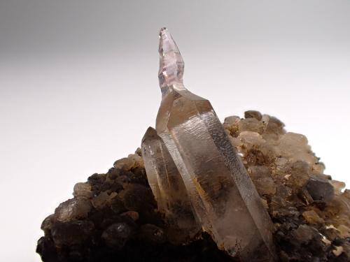 Quartz (variety reverse scepter), Calcite<br />Goboboseb Mountains, Brandberg area, Erongo Region, Namibia<br />62 mm x 49 mm x 27 mm<br /> (Author: Don Lum)