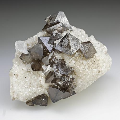 Scheelite, Dolomite, Quartz<br />Yaogangxian Mine, Yizhang, Chenzhou Prefecture, Hunan Province, China<br />71 mm x 54 mm x 54 mm - Largest scheelite crystal: 19 mm vertex to vertex - Mass (weight): 178 g<br /> (Author: Carles Millan)