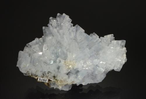 Baryte<br />San Jorge mining group, Sierra Minera de Cartagena-La Unión, Portmán, La Unión, Comarca Campo de Cartagena, Region of Murcia (Murcia), Spain<br />9.4 x 6.9 x 2.7 cm<br /> (Author: Michael Shaw)