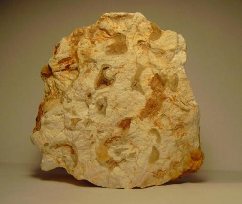 fosforita<br />Costanaza Mine (Phosphate Mine), Logrosán, San Cristóbal Hill, Comarca Las Villuercas, Cáceres, Extremadura, Spain<br />7x7x3 cm.<br /> (Autor: Joaquin Montoro)