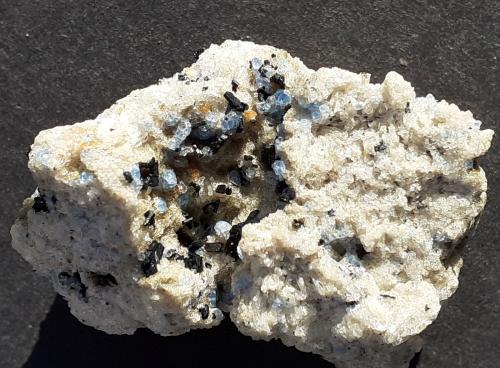 Haüyne, Titanite, Aegirine<br />Canteras In den Dellen, Niedermendig, Mendig, Distrito Mayen-Koblenz, Eifel, Renania-Palatinado/Rheinland-Pfalz, Alemania<br />3,0 x 2,3 cm<br /> (Author: Volkmar Stingl)