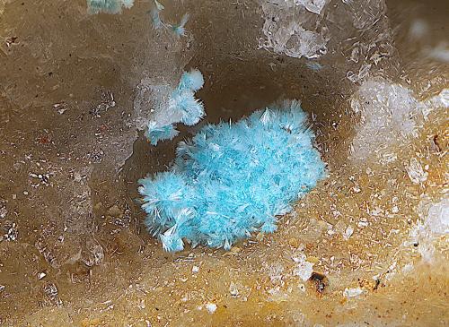 Auricalcita<br />Barranco del Celejo, Níjar, Comarca Metropolitana de Almería, Almería, Andalucía, España<br />Campo de visión de 5 mm.<br /> (Autor: Antonio Carmona)