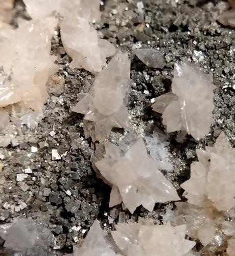 Calcite and Pyrite<br />Campiano Mine, Montieri, Grosseto Province, Tuscany, Italy<br />FOV 9 mm<br /> (Author: Firmo Espinar)