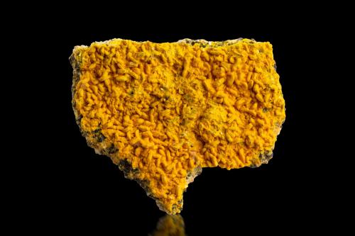 Schoepite, Meta-autunite, Uranophane<br />Margnac Mine, Compreignac, Bellac, Haute-Vienne Department, Nouvelle-Aquitaine, France<br />12 x 9 x 4 cm<br /> (Author: MIM Museum)