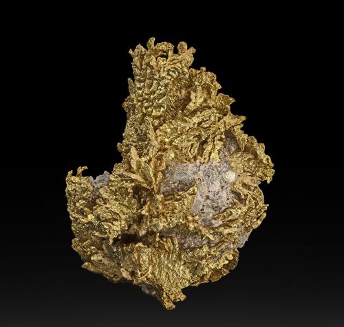 Gold, Quartz<br />Duketon goldfield, Duketon, Laverton Shire, Goldfields-Esperance Region, Western Australia, Australia<br />5.9 x 4.4 cm<br /> (Author: am mizunaka)