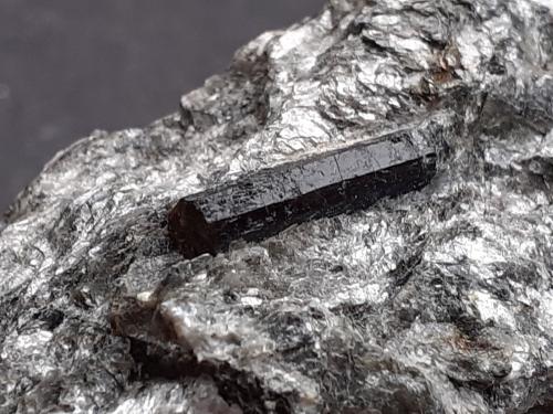 Schorl (Tourmaline Group)<br />Grinzens, Innsbruck-Land District, North Tyrol, Tyrol/Tirol, Austria<br />10 x 6 cm<br /> (Author: Volkmar Stingl)