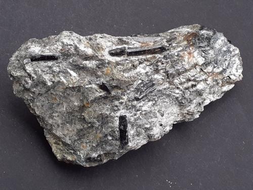 Schorl (Tourmaline Group)<br />Grinzens, Innsbruck-Land District, North Tyrol, Tyrol/Tirol, Austria<br />10 x 6 cm<br /> (Author: Volkmar Stingl)