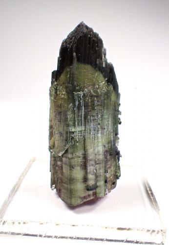 Elbaite (Tourmaline Group)<br />San Diego Mine, Gem Hill, Mesa Grande District, San Diego County, California, USA<br />60 mm x 26 mm x 25 mm<br /> (Author: Don Lum)