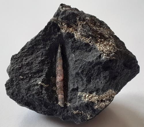 Corundum, Pyrite<br />Graphite Mine, Amstall, Mühldorf, Krems-Land, Waldviertel, Lower Austria/Niederösterreich, Austria<br />3 x 3 cm<br /> (Author: Volkmar Stingl)