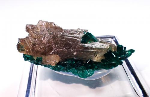 Cerussite, Dioptase<br />Kimbedi, Mindouli, Mindouli District, Pool Department, Republic of the Congo<br />39 mm x 23 mm x 16 mm<br /> (Author: Don Lum)