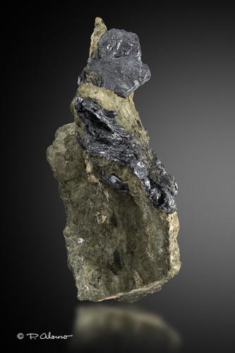 Molibdenita<br />Pedrera Xauxa (Pedrera Aymar), Turó de Xauxa / Sot de les Pedreres, Gualba, Comarca Vallès Oriental, Barcelona, Cataluña / Catalunya, España<br />7cm x 11cm x 2,5cm<br /> (Autor: Pere Alonso)