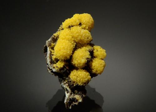 Mimetite<br />Potosí Mine, Santo Domingo (Francisco Portillo), Santa Eulalia District, Municipio Aquiles Serdán, Chihuahua, Mexico<br />3.0 x 2.1 cm<br /> (Author: Michael Shaw)