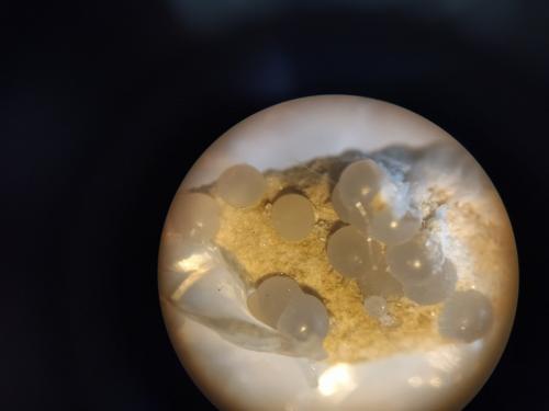 Kamphaugita-(Y)<br />(La Cabrera pluton), La Cabrera, Comarca Sierra Norte, Community of Madrid, Spain<br />2x2 mm<br /> (Autor: Ignacio)