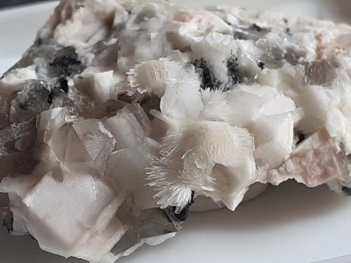 Bavenite, Quartz (variety smoky quartz), Orthoclase<br />Seula Quarry, Camoscio Mountain, Oltrefiume, Baveno, Maggiore Lake, Verbano-Cusio-Ossola Province, Piedmont (Piemonte), Italy<br />3 x 2 cm.<br /> (Author: Volkmar Stingl)