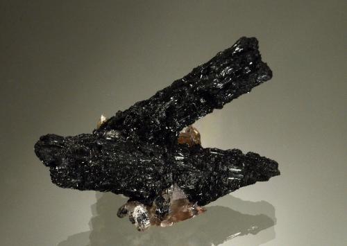 Schorl<br />Bergsig Farm 167 (Hohenstein), Omaruru, Región Erongo, Namibia<br />7.1 x 5.3 x 4.1 cm<br /> (Author: Michael Shaw)