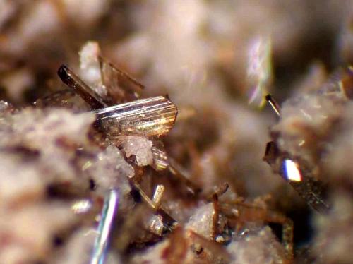 Enstatita<br />Canteras de La Aljorra, Cerro de la Cabezuela (Volcán de la Aljorra), La Aljorra, Cartagena, Comarca Campo de Cartagena, Región de Murcia (Murcia), España<br />Cristal de 2 mm.<br /> (Autor: Antonio P. López)
