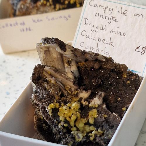Mimetite (variety campylite) with associated barite and zinc based crystals<br />Mina Dry Gill, Caldbeck Fells, Allerdale, (antes Cumberland), Cumbria, Inglaterra / Reino Unido<br />60mm matrix 5mm crystals<br /> (Author: Forrestblyth)