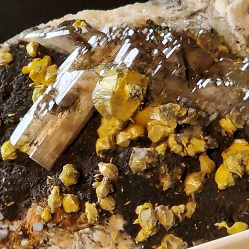 Mimetite (variety campylite) with associated barite and zinc based crystals<br />Dry Gill Mine, Caldbeck Fells, Allerdale, former Cumberland, Cumbria, England / United Kingdom<br /><br /> (Author: Forrestblyth)