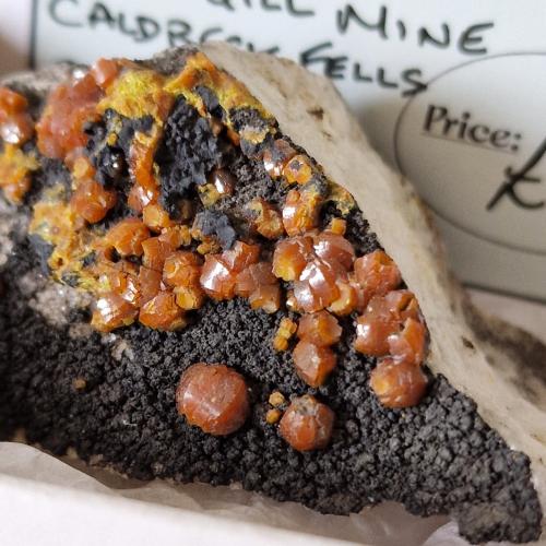 Mimetite (variety campylite)<br />Mina Dry Gill, Caldbeck Fells, Allerdale, (antes Cumberland), Cumbria, Inglaterra / Reino Unido<br />5mm crystals<br /> (Author: Forrestblyth)