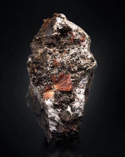 Labuntsovite-Mn with Albite and Natrolite<br />Monte N'orkpakhk, Macizo Khibiny, Península Kola, Murmanskaja Oblast, Región del Norte, Rusia<br />8 x 13 x 8 cm / main crystal: 2.0 cm.<br /> (Author: MIM Museum)