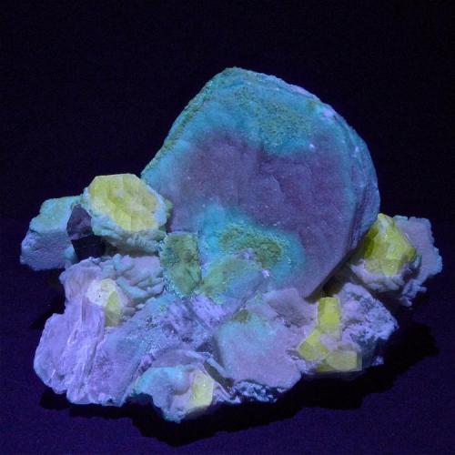 Fluorapatito, etc.
Stak Nala, Skardu D., Pakistan.
8 x 7 x 6 cm
Bajo LED UV de onda larga.
El fluorapatito ha virado a amarillo brillante. Los tonos verdosos son la hyalita.
El activador mas frecuente en el fluorapatito es en manganeso divalente, Mn2+. (Autor: Josele)