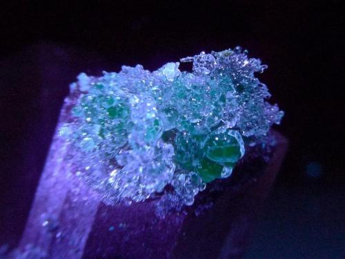 Hyalita sobre topacio
Villa Garcia, Zacatecas, Mexico.
CdV: 15 mm
Bajo LED UV de onda larga.
El activador es el ión uranilo, (UO2)2+, contenido como impurezas incluidas entre la estructura cristalina. (Autor: Josele)