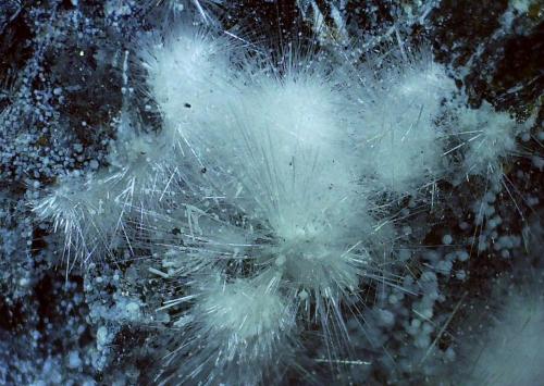 Canavesite, Dypingite<br />Brosso Mine, Cálea, Léssolo, Canavese District, Metropolitan City of Turin Province, Piedmont (Piemonte), Italy<br />4,5 x 3,5 cm<br /> (Author: Volkmar Stingl)