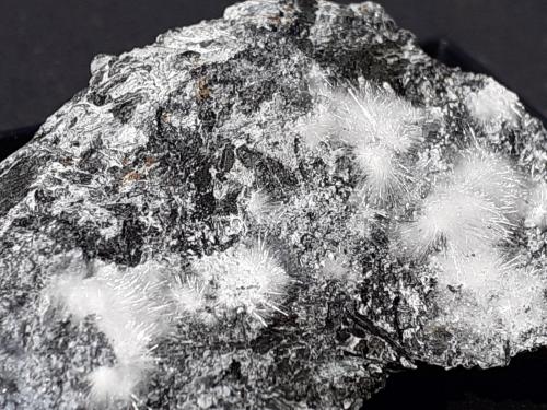 Canavesite, Dypingite<br />Brosso Mine, Cálea, Léssolo, Canavese District, Metropolitan City of Turin Province, Piedmont (Piemonte), Italy<br />4,5 x 3,5 cm<br /> (Author: Volkmar Stingl)