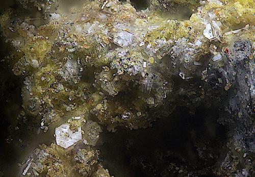 Caracolita<br />Mina Esperanza (antigua Mina del Oro), Cala del Mal Paso, Cuevas del Almanzora, Comarca Levante Almeriense, Almería, Andalucía, España<br />Campo de visión de 1 mm.<br /> (Autor: Antonio Carmona)