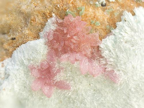 Adamita<br />La Cena del Depósito Claim, Huércal-Overa, Comarca Levante Almeriense, Almería, Andalusia, Spain<br />Campo de visión de 5 mm.<br /> (Autor: Antonio Carmona)