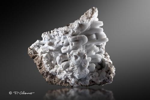 Celestina<br />Jaén city, Jaén ciudad, Jaén, Comarca Metropolitana de Jaén, Andalusia, Spain<br />24cm x 21cm x 15cm<br /> (Autor: Pere Alonso)