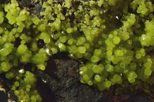 Pyromorphite<br />Mindouli, Distrito Mindouli, Departamento Pool, República del Congo<br />6.0 x 4.1 x 2.2 cm<br /> (Author: Michael Shaw)