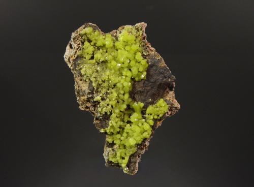 Pyromorphite<br />Mindouli, Mindouli District, Pool Department, Republic of the Congo<br />6.0 x 4.1 x 2.2 cm<br /> (Author: Michael Shaw)