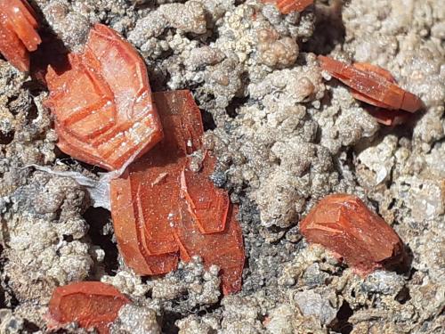 Heulandite<br />Drio le Pale, Buffaure, Moena, Trento Province, Trentino-Alto Adige (Trentino-Südtirol), Italy<br />7,5 x 7 cm<br /> (Author: Volkmar Stingl)