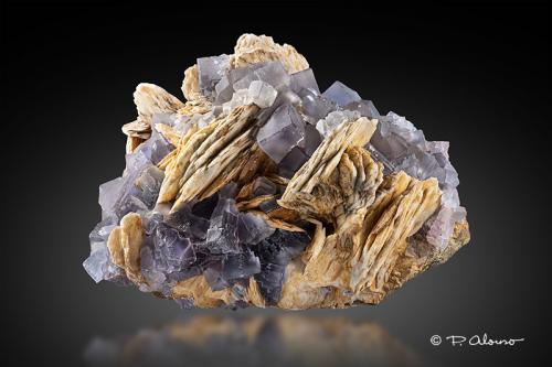 Fluorita + Barita<br />Zona minera de Berbes, Berbes, Ribadesella, Comarca Oriente, Principado de Asturias (Asturias), España<br />14cm x 10cm x 9,5cm<br /> (Autor: Pere Alonso)