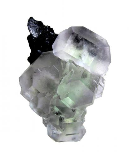 Fluorite, Sphalerite<br />Naica Mine, Naica, Municipio Saucillo, Chihuahua, Mexico<br />Specimen height 8 cm<br /> (Author: Tobi)