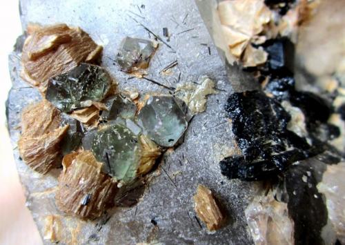 Quartz, Feldspar, Schorl, Muscovite, Fluorite<br />Davib East Farm 61 (Davib Ost Farm), Karibib District, Erongo Region, Namibia<br />FOV 5 cm<br /> (Author: Tobi)