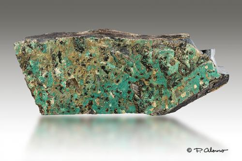 Brochantita<br />Serra de Prades, Tarragona, Catalonia / Catalunya, Spain<br />23,5cm x 9cm x 3cm<br /> (Autor: Pere Alonso)