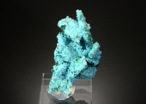 Chrysocolla<br />Tenke-Fungurume area, Kolwezi District, Lualaba, Katanga Copper Crescent, Katanga (Shaba), Democratic Republic of the Congo (Zaire)<br />5.4 x 2.8 x 2.3 cm<br /> (Author: Michael Shaw)