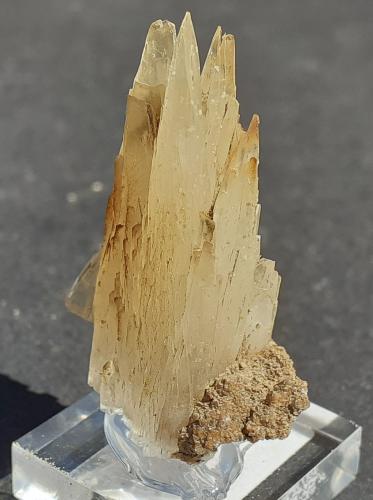 Aragonite<br />Magnesite deposit, Bürglkopf, Hochfilzen, Kitzbühel District, North Tyrol, Tyrol/Tirol, Austria<br />3 x 1,5 cm<br /> (Author: Volkmar Stingl)